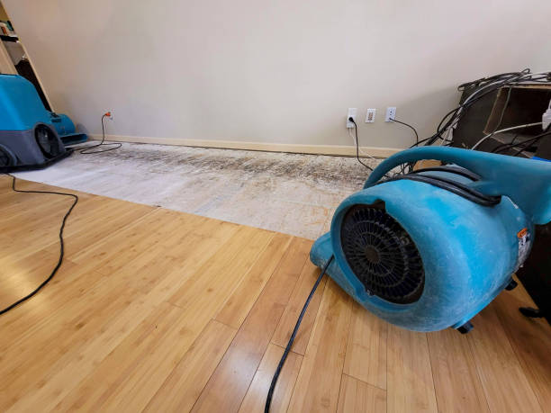 Professional Water Extraction technician working in Glen Allen, VA